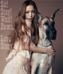 (CD)Sit! Stay! Wait! Down!/Love Story(DVD付)／安室奈美恵