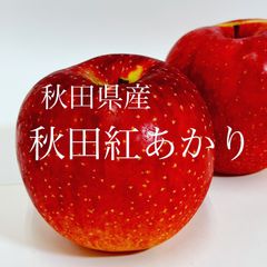 秋田県産りんご　秋田紅あかり　10キロ
