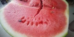 すいか🍉1玉7～10キロぐらい