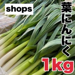 【農家直送】高知県特産‼️葉ニンニク 1kg 即購入OK fe277