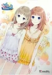 【中古】タペストリー トトリ&ロロナ B2タペストリー 「PSVitaソフト トトリのアトリエ Plus ~アーランドの錬金術士2~ プレミアムボックス」 トレーダー購入特典