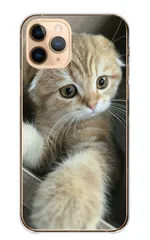 iPhone14Pro ケース ハードケース アイフォン14 プロ スマホケース 猫 ネコ 白猫  スコティッシュフォールド マンチカン 写真 可愛い オシャレ おしゃれ くすみ ベージュ カラー05
