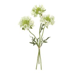 Item thumbnail for item beb24f7f-5afb-4980-b335-7d8c65dc2228