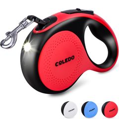 Item thumbnail for item 253ac535-79f0-480c-8705-b7d68820961d