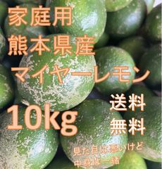 減農薬 熊本県産 マイヤーレモン 10㎏ 送料無料 - ふぁーむず天草 ...