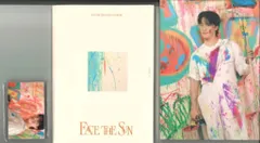 SEVENTEEN CARAT盤 DINO FACE THE SUN DINO