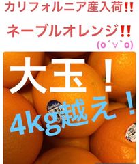 カリフォルニア産　ネーブルオレンジ　4kg越え