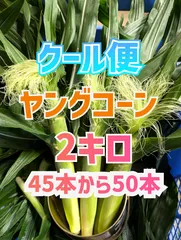 2025年最新】ヤングコーン ゴールドラッシュの人気アイテム 2025年最新】ヤングコーン ゴールドラッシュの人気アイテム