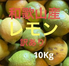 和歌山　レモン　訳有り10kg