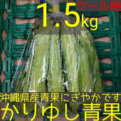 沖縄県産 うりずん豆（琉球四角豆）約1.5kg 【クール便】②