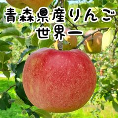 青森県産りんご★世界一★大きいよ