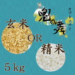 ～兜の舞～農薬不使用 カブトエビ農法 玄米or精米 5kg