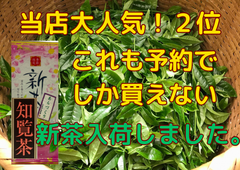 新茶入荷しました!!!全国 送料無料　新茶  八十八夜 母の日 お茶  緑茶 健康  訳あり 美味しい水出しも作れます 知覧茶あらづくり　100ｇ