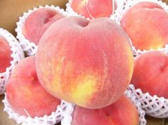 ☆7名様先着お値引き品☆【等級秀品です☆】山梨産もも４～５玉箱☆白鳳桃☆