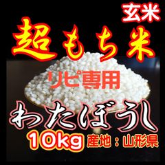 幻のお米 令和7年度『いのちの壱』 岐阜県産 新米 白米 10kg 送料