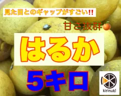 2024年最新】はるか 柑橘の人気アイテム - メルカリ