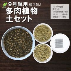培養土 【多肉植物土セット】 9号鉢用 植え替え 多肉植物 土 室内用 観葉植物 鉢植え 赤玉土 鹿沼土 日向土 くん炭 バーミキュライト 底ネット ボラ石 送料無料 [植え替えオプション]