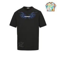 【今日特価】Burberry 25SS ネックチェスターフィールドプリント T シャツ-1