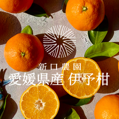 【産地直送】愛媛県八幡浜産 【伊予柑 5kg】