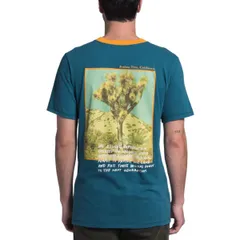 ノースフェイス Tシャツ The North Face ROGUE GRAPHIC S/S TEE ノースフェイス Tシャツ ハーフドーム 茶パッチ ローグ グラフィック バックプリント ロゴ Tシャツ グレー メンズ USA USA企画 海外限定