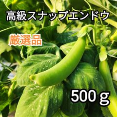 🔵甘くてジューシー🔵【高級スナップエンドウ】 厳選品 500g産地直送