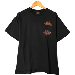 古着 ハーレーダビッドソン Harley-Davidson ファイヤーパターン モーターサイクル バイクTシャツ メンズL相当/eaa558258