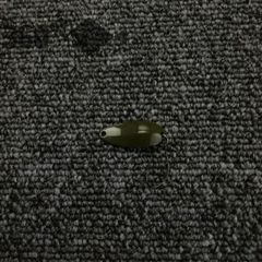 【神田釣具 360°】1991: used lure spoon/まとめ売り 可/セット 可//@