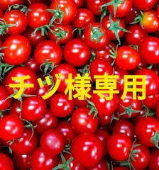 チヅ様専用　３kg＋100g