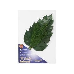 A&K 国産プレミアム 枯れないプリザーブド荒神松 0