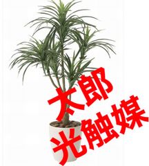 光触媒 人工観葉植物 ウォールグリーン フェイク ロングシダーファン