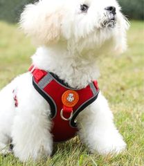 GSYY 調節可能な犬用、猫用ハーネス 引っ張らない ソフトウォーキングリーシュ