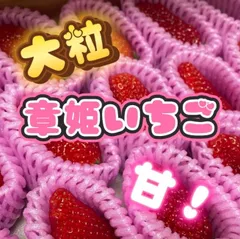 特選大粒いちご  贈答品にも人気！クール便のサムネイル