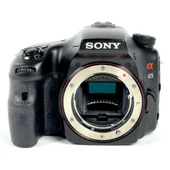 ソニー SLT-A65VL a65 セット売り | shop.spackdubai.com
