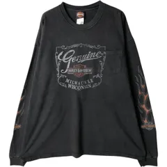古着 ビッグサイズ ハーレーダビッドソン Harley-Davidson 鷲柄 イーグル柄 ファイヤーパターン モーターサイクル/eaa529759