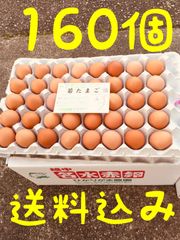 160個　若たまご　卵掛けご飯　生2週間　加熱1ヶ月　北海道、沖縄別