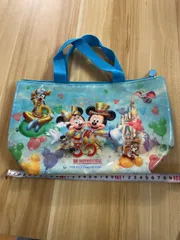 東京ディズニーリゾート ディズニー 30周年 ランチバッグ ランチトート ファスナー付き スーベニアポーチ ランチケース