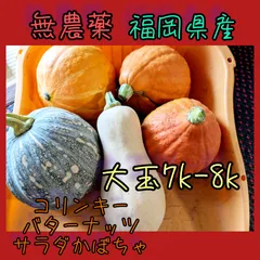 福岡県産 無農薬 大玉コリンキー、バターナッツかぼちゃ他カボチャ