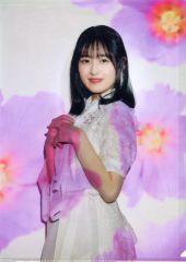 Item thumbnail for item 52370479-73ec-4d73-a50c-dde65b59f2c7