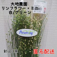 大地農園 リンフラワー・ミニ  白/グリーン 新品1束