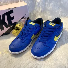 ✨未使用✨ NIKE SB Dunk Low 