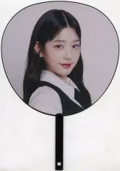 Wonyoung うちわ 4点セット売り 2025年最新】ウォニョン うちわの人気アイテム - メルカリ