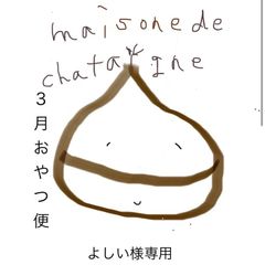 よしい様専用　おやつ便　シフォンケーキサンド　チーズケーキ　テリーヌ