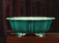盆栽鉢 蓮華 鉢 盆栽鉢 植木鉢 小品盆栽鉢 大品盆栽鉢