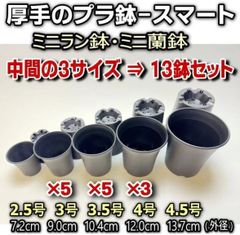 ◆平日＊日中注文即日発送-ミニラン鉢(ミニ蘭鉢)＊中間の3サイズ：3号×5鉢＊3.5号×5鉢＊4号×3鉢の合計13鉢セット(厚手のプラ鉢スマート)＊多肉植物・塊根植物コーデックス・アガベ・サボテン・ハオルチア・アデニウム・パキポディウム＠フラワーショップ江口