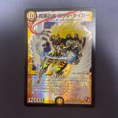 真実の名　アラシタイガー
