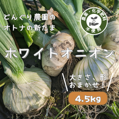 オトナの新たまホワイトオニオン（4.5kg）【農薬不使用】静岡県産