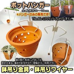 エアープランツ 吊り下げ式ワイヤー鉢 エアープランツ ハンギング ガラス ワイヤースタンド付 | 趣味の園芸と