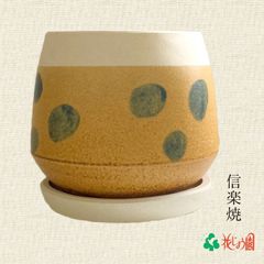 信楽焼 陶器鉢 水玉