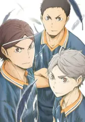 【中古】アニメDVD ハイキュー!! 烏野高校 VS 白鳥沢学園高校 Vol.3 [初回生産限定版]