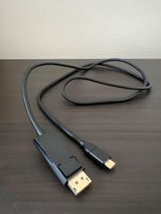 エレコム 変換ケーブル USBC DisplayPort 1.0m ブラック CAC-CDP10BK